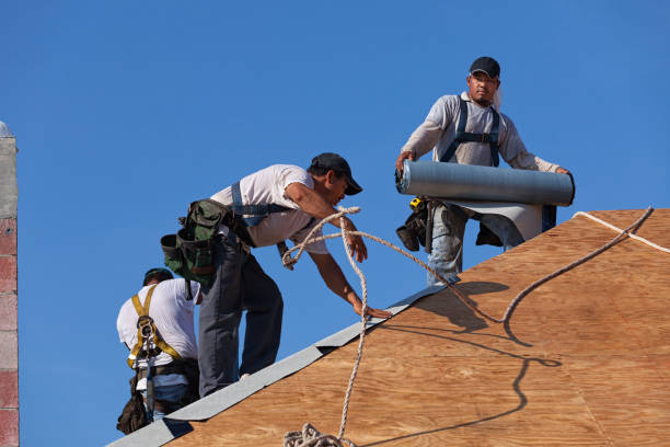 Best Emergency Roof Repair  in Mount Pocono, PA
